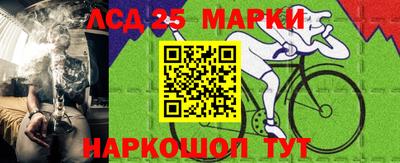 шишки Аргун