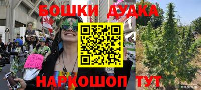 шишки Аргун